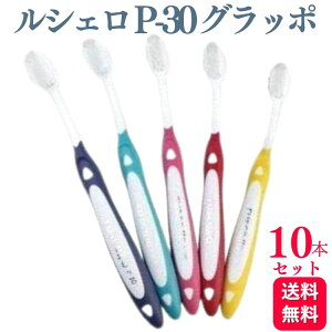 y10{ZbgzGC W[V[ VF P-30 Ob| uV   ͂Ԃ炵  a  uV  f^PA puV  