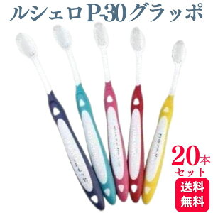 y20{ZbgzGC W[V[ VF P-30 Ob| uV   ͂Ԃ炵  a  uV  f^PA puV  