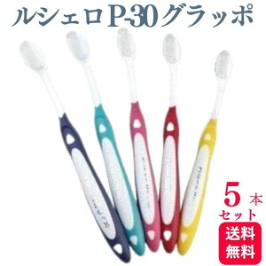 y5{ZbgzGC W[V[ VF P-30 Ob| uV   ͂Ԃ炵  a  uV  f^PA puV  