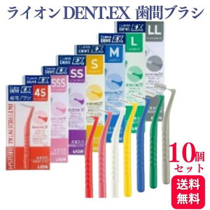 y10ZbgzCI DENT.EX ԃuV 4{ 4S/SSS/2S/S/M/L/LL    |Pbg ԕ  p PS |Pbg u ӕ |p uV ͂Ԃ炵 nu