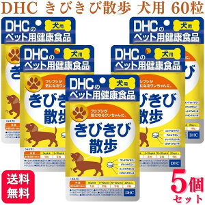 y5ZbgzDHC тюU p 60  Tvg pTv NHi p     Ck hbO DOG Tv N S S r   ̏d U hbO s V 