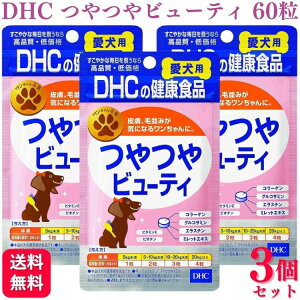 y3Zbgz DHC r[eB p 60 Tvg    񂿂 GX` Tv Tvg    TT ₩  er^~ 