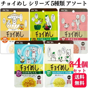 y5Zbgz  hbOt[h e4 `C߂ 80g 5ރA\[gZbg ܂邲 ƂƃxW4 eq Ȃ񂩗ǂK 킩߂ hbOt[h hbNt[h  