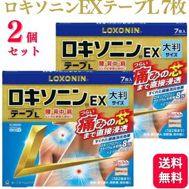 【第2類医薬品】【2個セット】 ロキソニンEXテープ L 7枚 ロキソニンテープ ロキソニン 湿布 腰痛 ロキソプロフェン