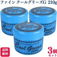【3個セット】 阪本高生堂 ファイン クールグリースG 210g 送料無料 ヘアワックス クールグリース 美容院…