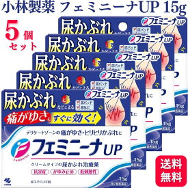 【第2類医薬品】【5個セット】 小林製薬 フェミニーナ UP 15g 尿かぶれ かゆみ止め