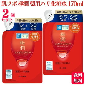 【2個セット】 ロート製薬 肌ラボ 極潤 薬用ハリ化粧水 詰替え用 170mL 化粧水 ハダラボ