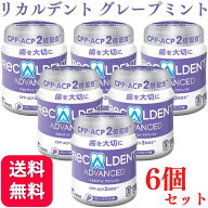 【6個セット】リカルデント ボトル ガム 140g グレープミント 歯科医院専用 送料無料