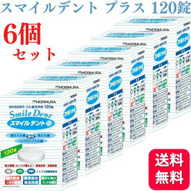 【6個セット】モリムラ スマイルデントプラス 120錠 入れ歯洗浄剤