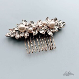 _1000~|bL^񂴂 p[ rW[R[ a     wAANZT[  EGfBO \ Ǝ w Xe[W   wAR[ fB[X