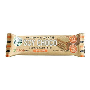 (ܖ2025N9)[ցHEALTY SOY CHOCO L \CptN``R[g \C`R veCvX[J[{ - veCo[ Jg `R ς 