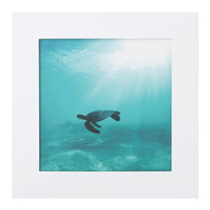  [ցA[gg pgCZbg5(1) E~K ATW-5_008 ܂ɂ - gC 召Ή   h ЊQ d f ً} RS~ CeA@nk ϐ 