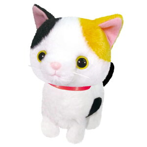 ܂˂܂˃gRgR ~PlR 8202848 IXg OST - ʂ ˂ L OєL  ߋ  m   m}l ^ ybg  v[g Mtg NX}X o^C