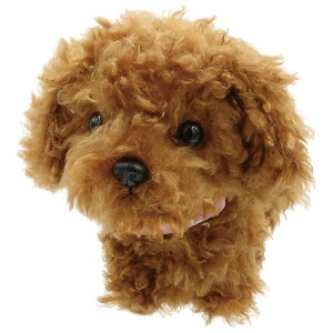 ܂˂܂˃gRgR gCv[h 2708010 IXg OST - ʂ 񂿂  gCv[h  ߋ  m   m}l ^ ybg  v[g Mtg NX}X o