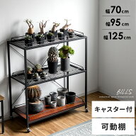 【5/14まで最大3,500円OFFクーポン配布中】 フラワースタンド おしゃれ 室内 ラック 植物 棚 シェルフ 収…