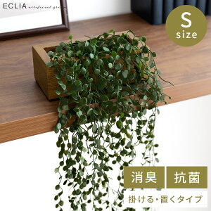 y24ԌIP3{z ϗtA  CeA tFCN L R  tFCNO[ CTG} Ǌ|   ؂₩ A O[ LA[eBtBVO[ Rei^