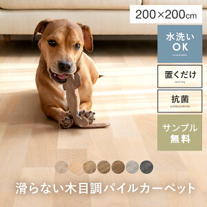 J[ybg  􂦂 ybg R k rO  L ybgp O }bg ^CJ[ybg O~ イ ؖ h zAfqh g[Ή Be[W _ 炮 