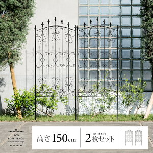 y10/1P2{5OFFN[|zzz ACA tFX K[fjO ډB  Vv X`[ AeB[N 150cm 2g eBX  O K[f A  KN o 