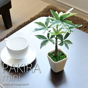 G} ϗtA pL ~j tFCNO[ lHϗtA  sv CeA lH  킢 lC  L R h ϗtA ߃TCY G}lHA 