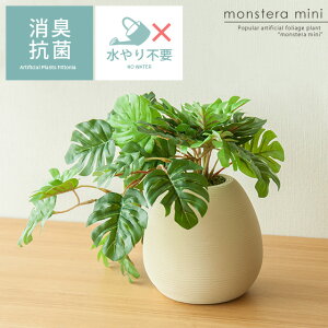 y48ԌISi10OFFN[|zzz G} ϗtA tFCNO[ Xe ~j lHϗtA  V-CATG} CeA lH  킢 lC sv L R