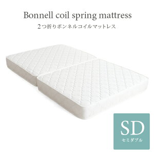 }bgX {lRC Z~_u 2܂ zIȐpŉ