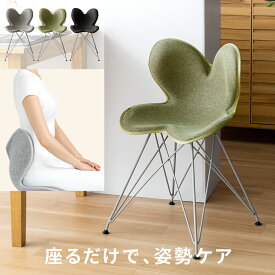 椅子 チェア 姿勢ケア 骨盤 テレワーク S字姿勢 スタイル健康チェア 健康 人間工学 ダイニングチェア デスクチェア シンプル ナチュラル グレー ブラック グリーン Style Chair ST(エスティー)