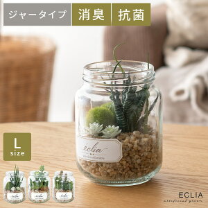 観葉植物 人工観葉植物 人工植物 人工 植物 消臭 抗菌 水やり不要 グリーン 緑 お手入れ不要 アンティーク 枯れない おしゃれ かわいい 人気 フェイクグリーン CT触媒 ナチュラル 北欧 シンプ