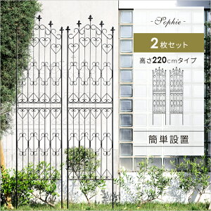 y24ԌIP3{z ACA tFX K[fjO ډB  Vv X`[ AeB[N 220cm 2g eBX  O K[f A  KN o  ACAtF