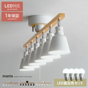 y24ԌIP3{z V[OCg X|bgCg rO Ɩ  ԐڏƖ y_gCg LED k VƖ _ C JtF rOp ԗp _CjOp H