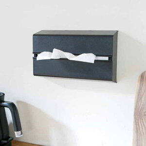 �y�|�C���g10�{�z���r���[���T���� �y�[�p�[�P�[�X WALL PT�^�u���b�N ideaco �V����