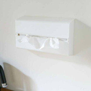 �y�|�C���g10�{�z���r���[���T���� �y�[�p�[�P�[�X WALL PT�^�z���C�g ideaco �V����