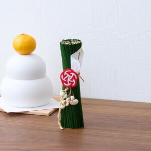 shesay u^ ̂ 250019GN     CeA rO    a_