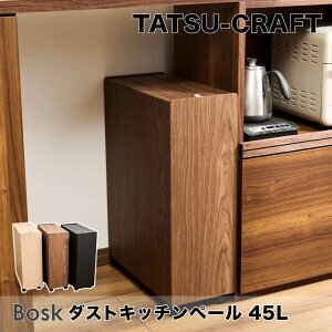 y|Cg10{z ^cNtg TATSU-CRAFT oXN Lb`y[ 45L 258790 S~ _Xg{bNX e  X^CbV Ebh