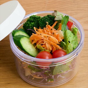 y|Cg10{z WFN[ GELECOOL Eh 0101-0053 ۗ `{bNX ٓ T_P[X t[c fU[g Ђ ۗ܈̌^ ؂ ̂