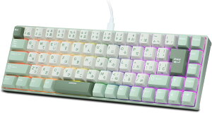 RK ROYAL KLUDGE C68 JP �z�[�����ʃ��J�j�J���Q�[�~���O�L�[�{�[�h�A65% HE �}�O�l�e�B�b�N�X�C�b�`�L�� RGB �L�[�{�[�h�A�z�b�g�X���b�v�Ή��A���s�b�h�g���K�[�����\�A�N�`���G�[�V�����A8K 