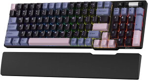 RK ROYAL KLUDGE RK96 RGB ����ŁA90% 96 �L�[���C�����X 3 ���[�h BT5.0/2.4G/USB-C �z�b�g�X���b�v�\���J�j�J���L�[�{�[�h�A���X�g���X�g�t���A�{�����[���R���g���[���A�\�t�g�E�F�A�A��e�ʃo�b