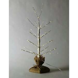 y|Cg10{zyz SPICE OF LIFE NX}X LEDu`c[ 73 USB^Cv 60cm NXAbv BRXS3011BR NX}X CeA  zf[ V[Y   f