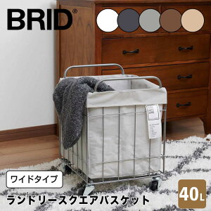 y|Cg10{z ubh BRID h[XNGAoXPbg Ch^Cv 40L NX 003385-WH JS h[oXPbg [ LX^[  rO  