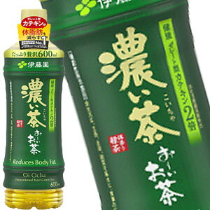 ɓ ` Z 600 ml PET×48{[24{×2][3`4cƓȓɏoׂɏo]  500mlybg{g JeL ` @\\HiykCǉEsz
