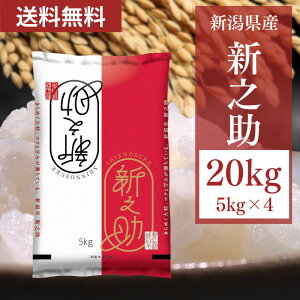 [ߘa6NY] 󒍐 Yn VV 20kg(5kg×4) y5`8cƓȓoׁzyszykCǉꗣsz