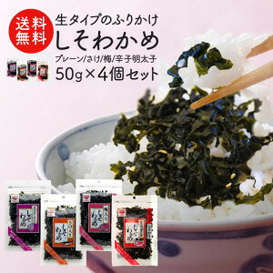 ^Cvӂ肩 킩 450g×e1 Zbgmv[//~/hqqnm[ցn y4`5cƓȓɏoׁzyz