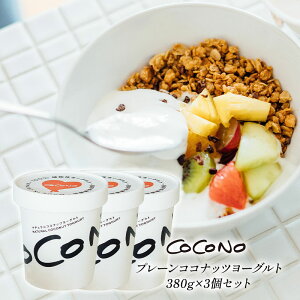 COCONO �v���[���R�R�i�b�c���[�O���g 380g×3�m�①�̂݁n�y4�`5�c�Ɠ��ȓ��ɏo�ׁz
