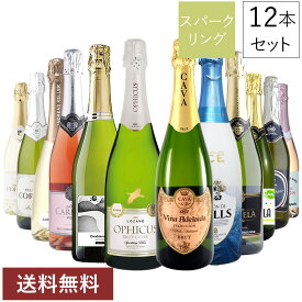 2金賞 カヴァ シャンパン製法 オーガニック 入り 辛口 スパークリング ワイン 欧州 12本 セット [常温] イタリア スペイン【 送料無料 】【2～4営業日以内に出荷】 【沖縄・離島配送不可】シャンパーニュ 飲み比べ 詰め合わせ