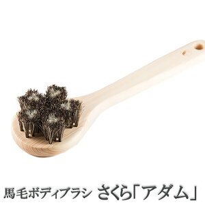 󑐃A[guV Ki nу{fBuV wA_x Ђ̂̃{fB[uV ]Onh d VR Ђ̂ N[i[t C w ь@{fB[uV@{fBPA