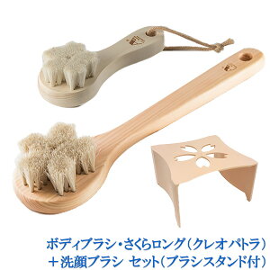 󑐃A[guV Ki nу{fBuV 烍OiNIpgj Ђ̂̃{fB[uV {M uVwxiuVN[i[{uVX^htj{fB[u