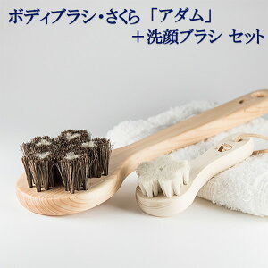 󑐃A[guV Ki nу{fBuVwA_x Ђ̂̃{fB[uV {M uVwxiuVN[i[tj{fB[uV@{fBPAuV