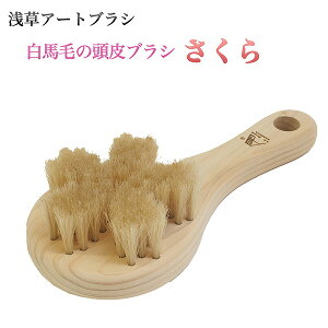 󑐃A[guV nт̓uV  XJvuV Vv[uV }bT[WuV  tP PA n ь  L ΍