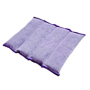 ԃCX NbV YȂȂy炭NbV]Ԉ֎q Ԃ یpFi zc R hL ې􂢉 TEIJINimtg p ̓ ̓ hV̓