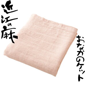 タオルケット お昼寝の通販 価格比較 価格 Com