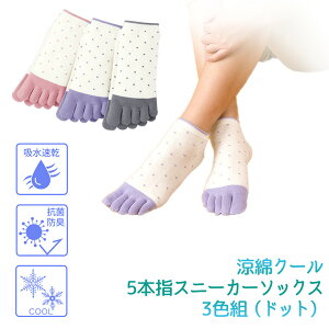 5�{�w�C�� ���ȃN�[�� 5�{�w �X�j�[�J�[ �\�b�N�X 3�F�g �h�b�g ���� �ڐG�⊴ �⊴ �L�V���g�[�����H �⊴ �� �R�� �h�L �z������ �N�[�� �O�} MIKASA